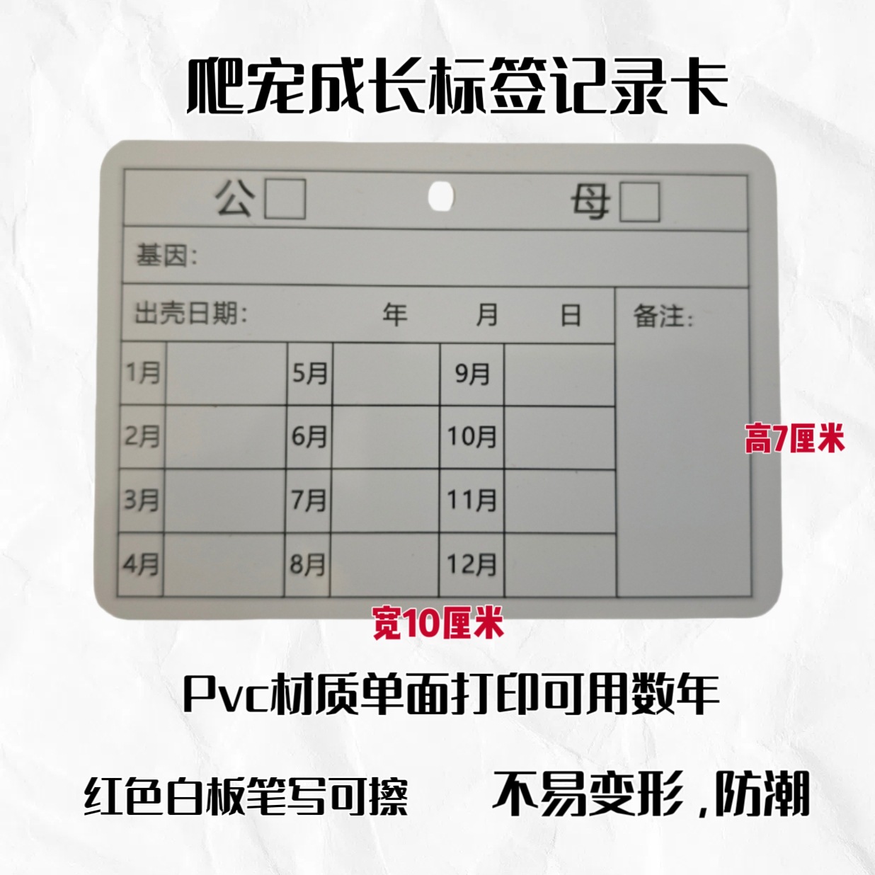 可擦爬宠基因成长记录标签息备注记录塑料材质守宫蛇睫宫R属