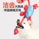 FOFOS two Beaver dog toy plush sound resistant to bite tug of war pull puppy to relieve boredom artifact dog toy