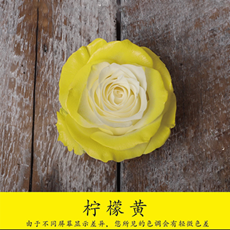 450ml agente de color de aerosol de flores al por mayor pintura en aerosol de secado rápido agente de teñido de rosas de color aerosol de color perlado floristería