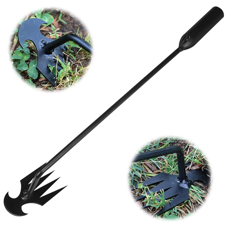 51dv-Kq7iSL._AC_SL1000_