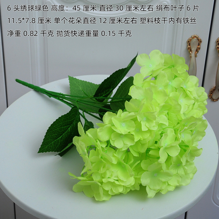 6头绣球绿色