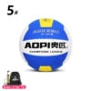 Olympic Volleyball No. 5