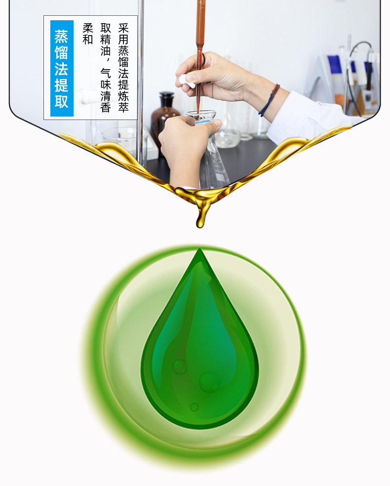 Mugwort Massage Essential Oil Large Bottle Meridian Scraping Massage Open Back Body Care Mugwort Oil Wholesale Heating Massage Oil detail image 13