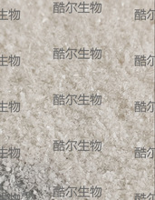 ţѪ��׵��ס�BSA��CAS:9048-46-8  �F؛