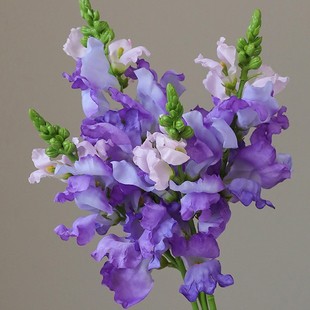 ������~�����^���ٻ���c�����b�����������������_�m���滨