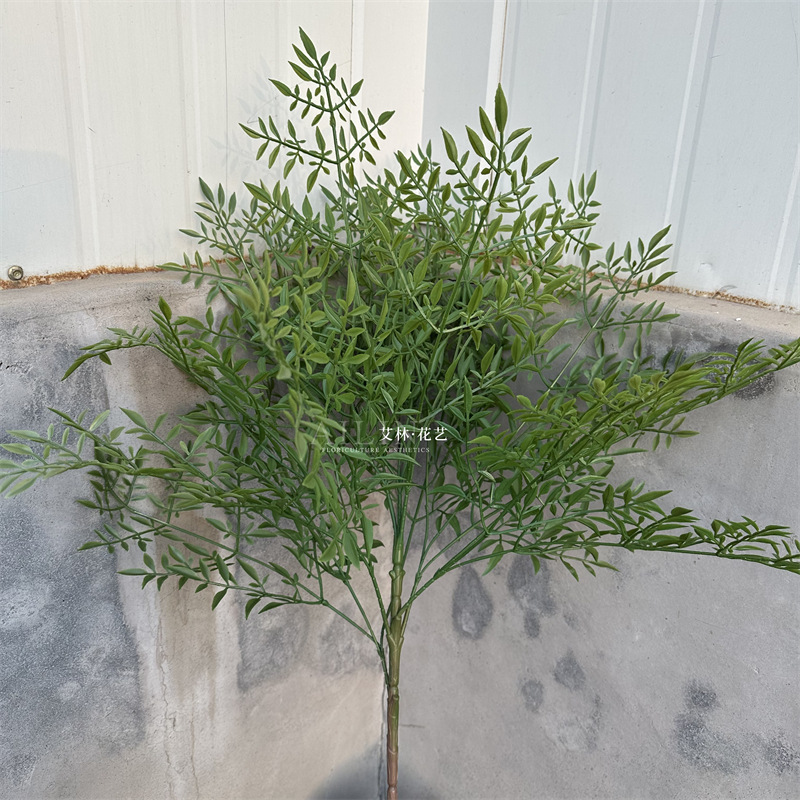 큰 가지 나무 가지 Nantianthus
