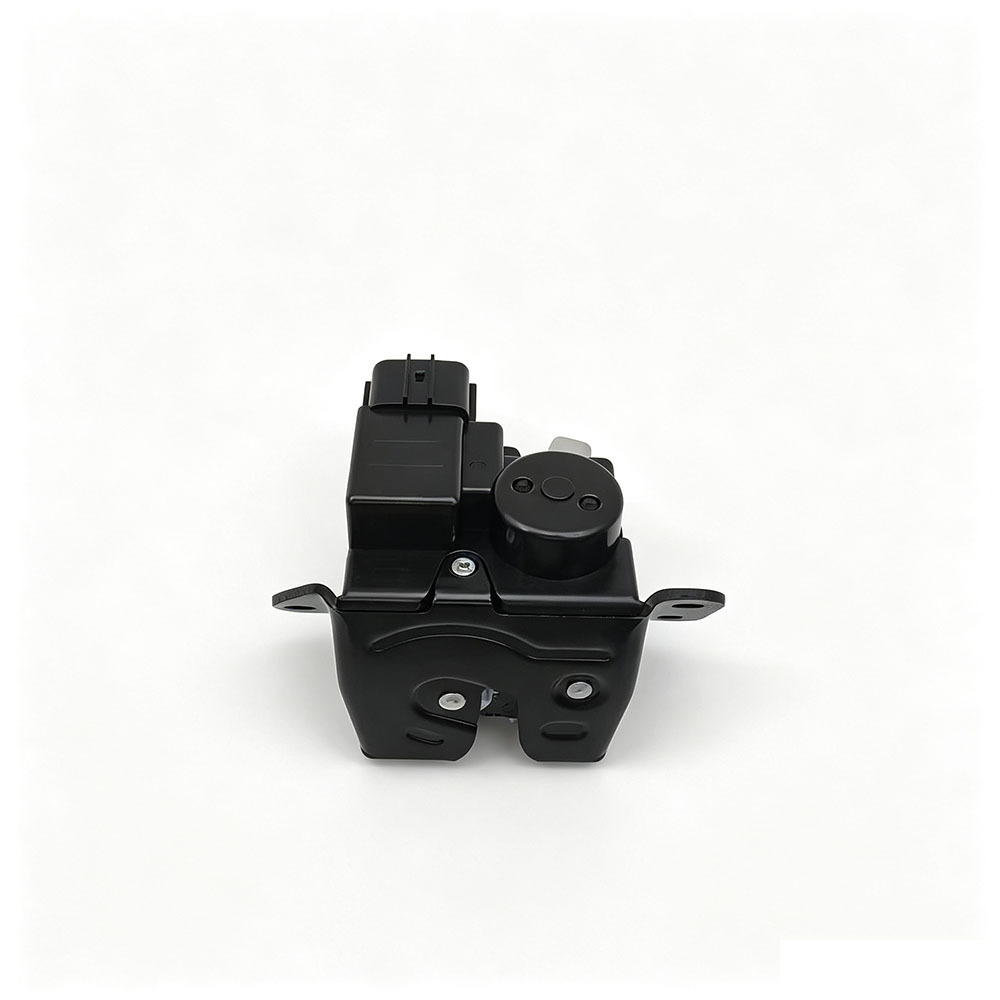 812301D000 81230-1D000 is suitable for 2007-2012 model car door locks, tailgate locks, and central locking systems