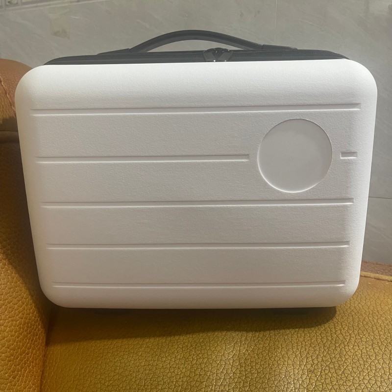 Korean Mini Suitcase Small 14inch Cosmetic Bag Waterproof Fashion Women's Suitcase Lightweight Short Trip Storage Bag
