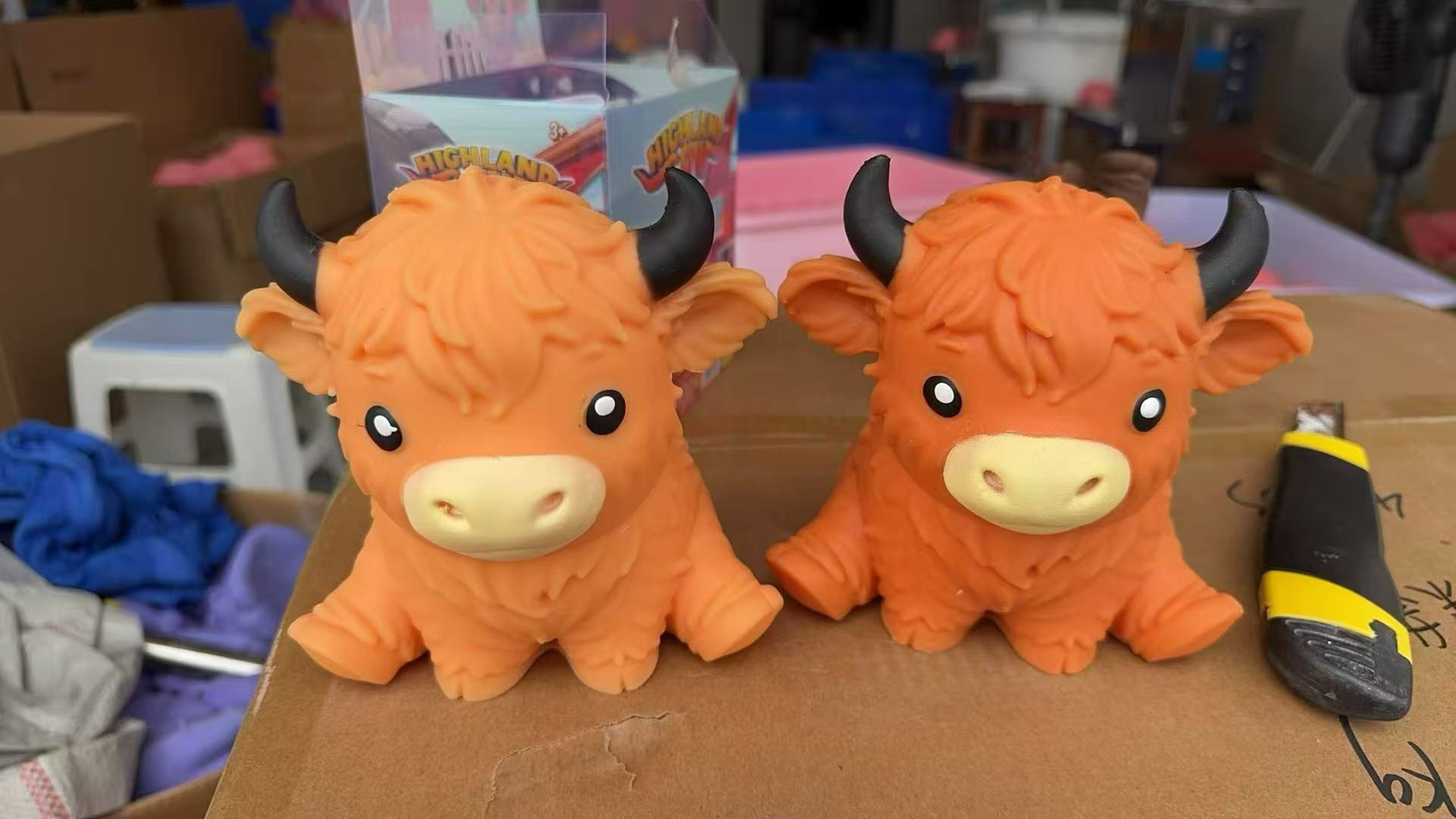 Highland cattle