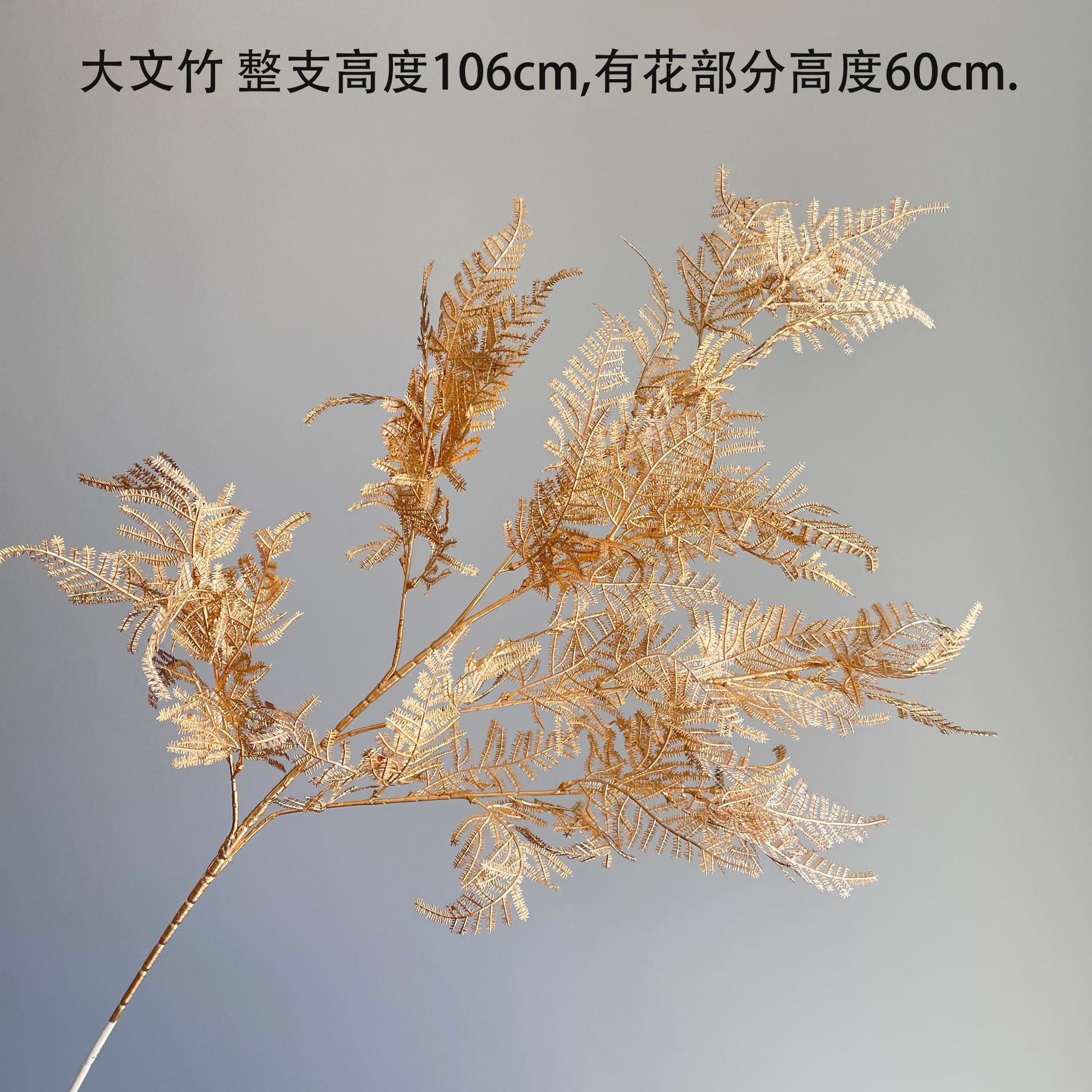 SKU43_颜色_大文竹