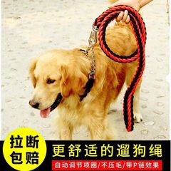 狗绳防脱牵引绳狗链子小中大型犬伸缩泰迪狗牵引绳遛狗绳专用自动