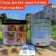 Dried fruit machine household small food dehydration air dryer fruit vegetable fruit drying machine food pet snacks dryer