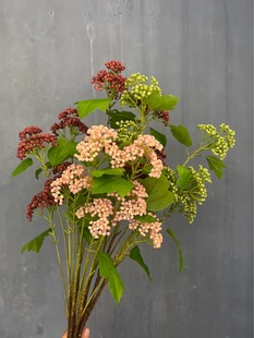 �𼬹� ���滨�L�lɭϵ��Y���佁���Ҿ�����廨�@�ӵ����OӋ��