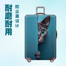 ���l���QTEMU���������䱣�o�׼Ӻ��������U����Ƥ�������׷��m��