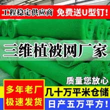 ���Sֲ���Wu����o�¾G�������W�|EM3ֲ�ݹ������S�ͺ������W