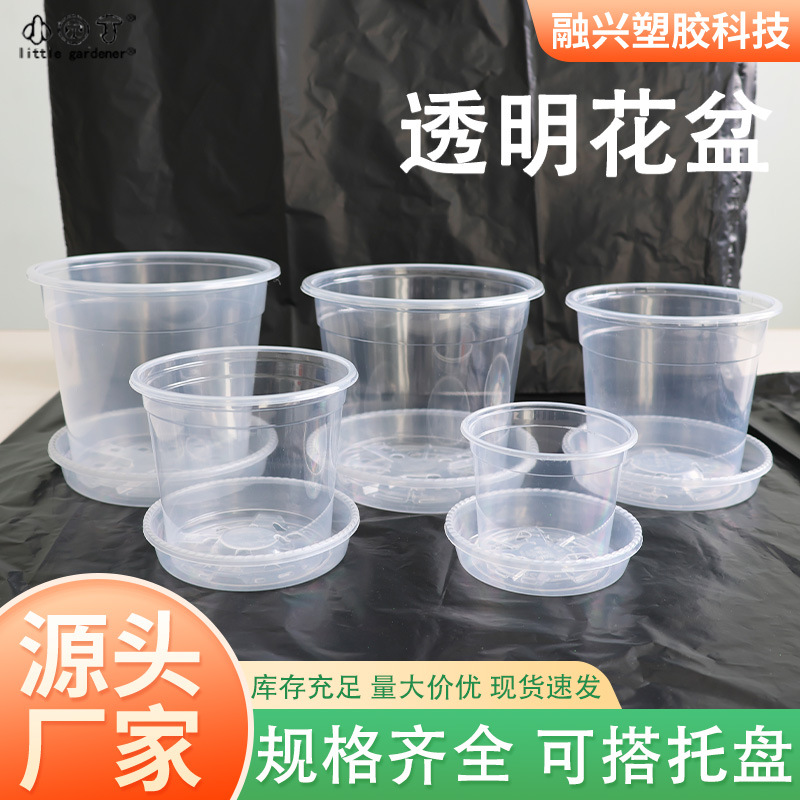 pp塑料花盆透气塑料观根花盆透明荷花边花托透明钵控根盆透明花盆