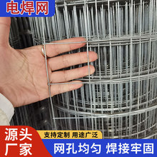 �����F�z�W�Ƞ���W���ѷ۠��W�F�z�W���P�늺��W�BֳȦ���F�z�W