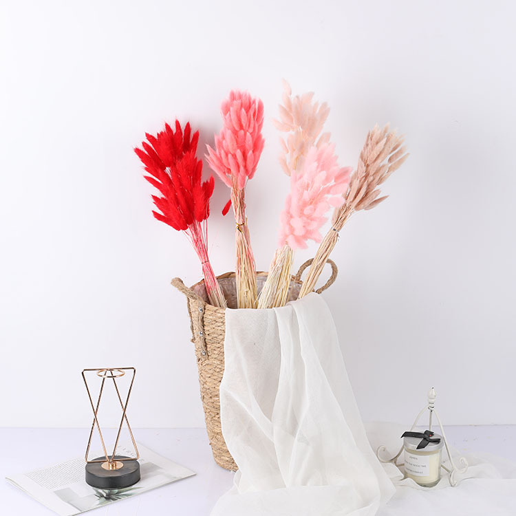 La flor eterna de la flor de la cola de conejo hierba seca 60 piezas al por mayor Dogtail hierba seca ramo de flores decoración DIY conejo hierba de la cola