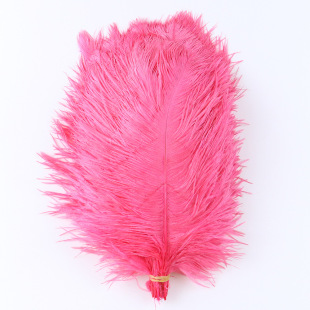 �羳���Q��̨��ë�W�t����c�廨��Bë���u25-30cm��ɫ��Bë