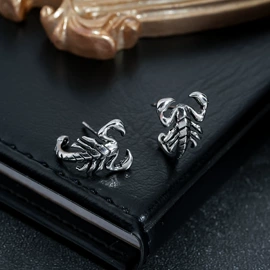 项链;耳钉;耳环