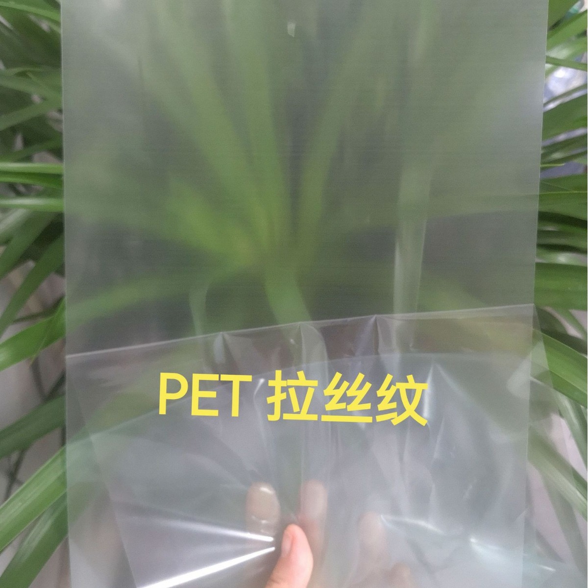 耐高温拉丝PET卷材片材 防刮双面覆膜UV转印PET塑料薄膜胶片加工