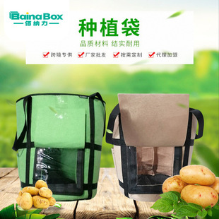�羳؛Դ �o����ë�ּӺ�ֲ�����L����ֲ��͸����ҕ�����Nֲ��