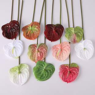 ���滨 �ָл��Q ��֦3D�t�� ���� �G�� ���ƻ�Y�Ҿ��bٻ�