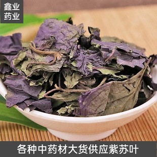 紫蘇葉紫蘇葉圖片 海量高清紫蘇葉紫蘇葉圖片大全 阿里巴巴