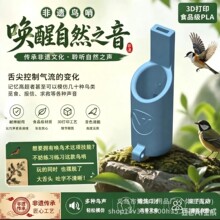 新款可模仿几十种鸟叫鸟哨学鸟叫口肌发音训练小鸟哨子儿童玩具