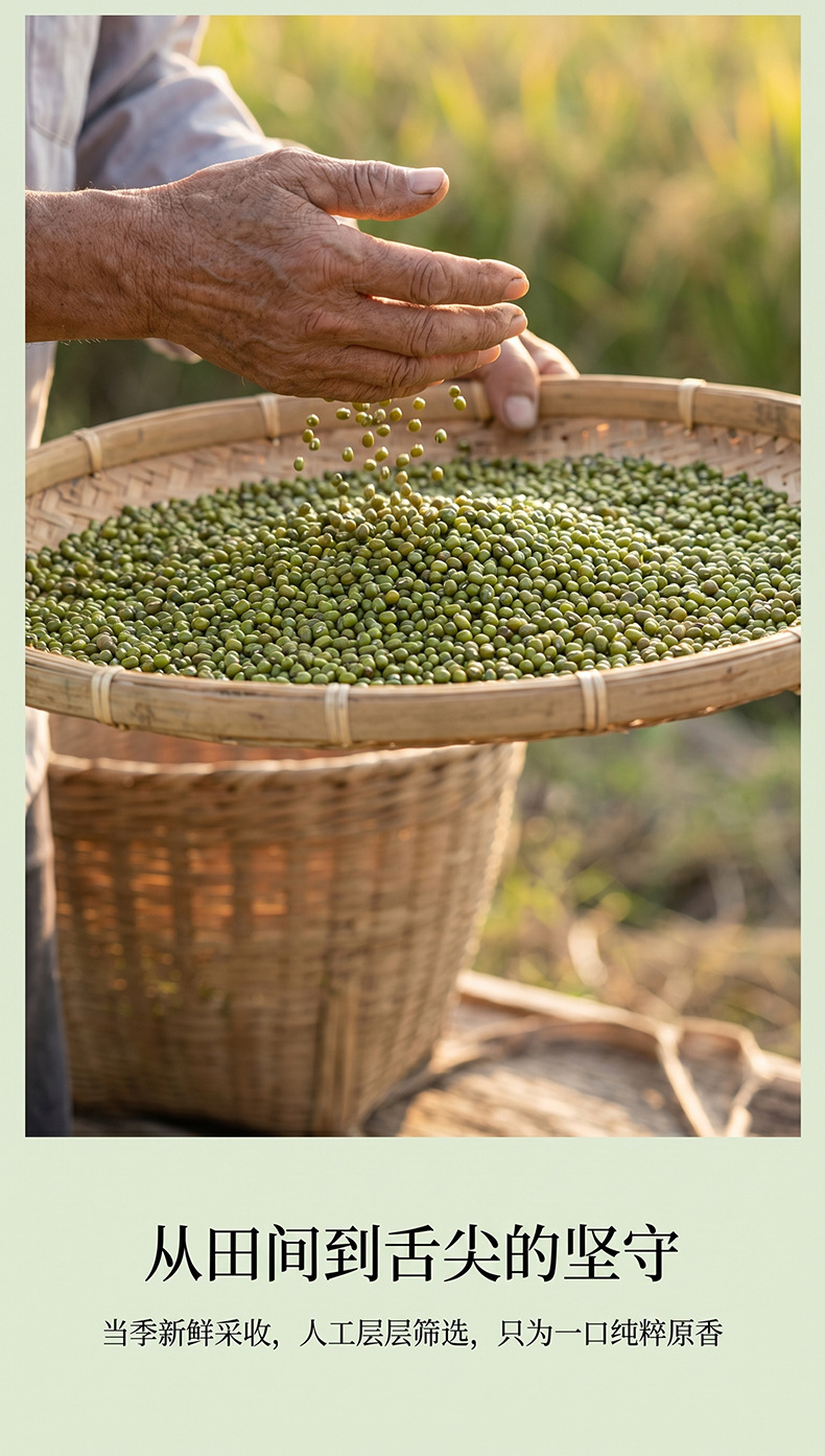 Mung Bean Lu Dou 500g Whole Green Grains for Congee Soup and Summer Drinks preparation