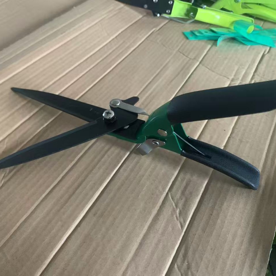 2025-08-29 12:43:45.jpg