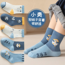 2025男童袜子秋冬季卡通中筒袜儿童袜子春秋中大童棉袜学生袜透气