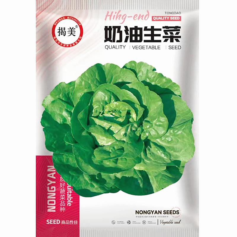 揭美奶油生菜种子  早熟脆嫩鲜食生菜籽 农业盆栽蔬菜种子2000粒