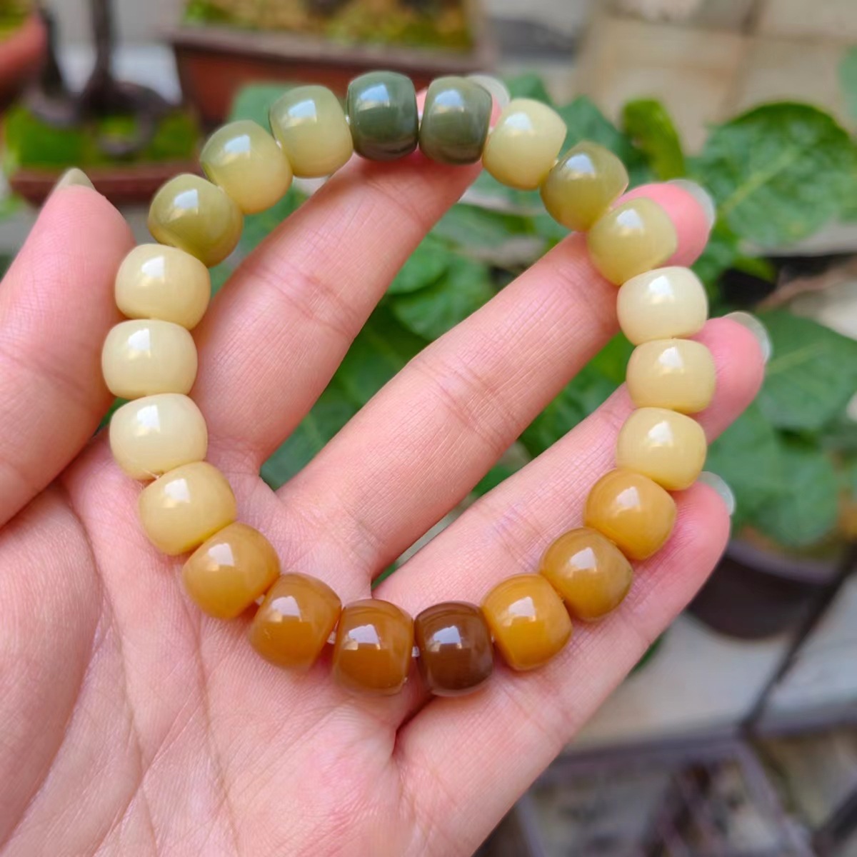 11x9mm 2 색 그라디언트 스트레이트 컷