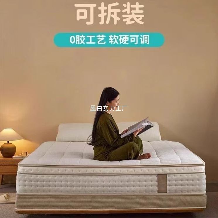 Compressed Roll-Packed Memory Foam Box Silent Mattress Five-Star Hotel Thickeneded Household Bagged Spring Simmons Cushion