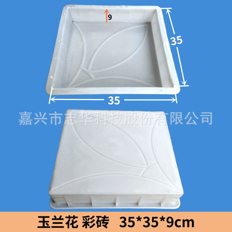 34B-35x35x9 玉兰花彩砖.jpg