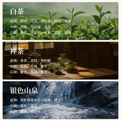 with All Nio Models, Ledao: Car Perfume Aromatherapy - white-tea-zen-tea-silver-mountain-spring