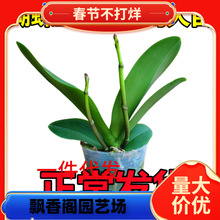 һ�����l�p���������m�����m�����玧�����������ļ��_���҃Ȼ���