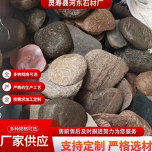 鹅卵石 磨圆硕石 铺地鹅卵石园林景观石庭院公园铺路石装饰鹅卵石
