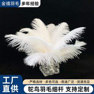�S��ֱ�N�r�Bë15-20cm��Ȼ�r�B��ë��ɫ�b[����c��̨��ˇƷ