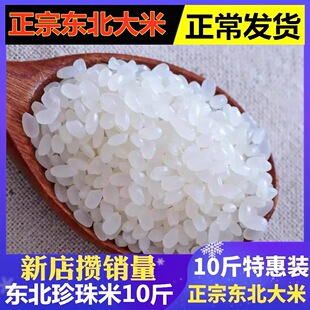 �|������2025�������������L�������1��500g����С����2ԪС��Ʒ