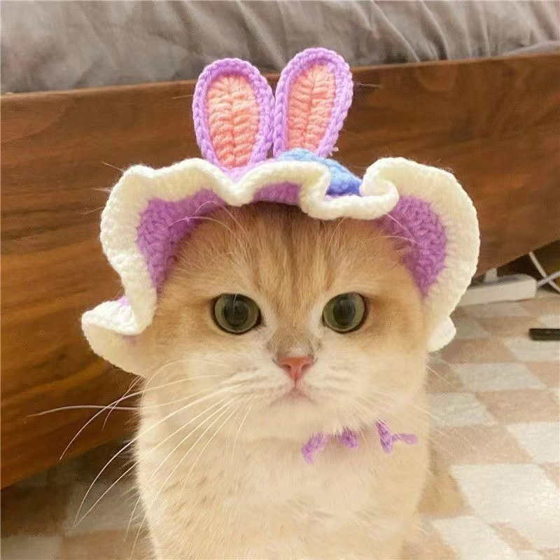 Cute Pet Hat 1
