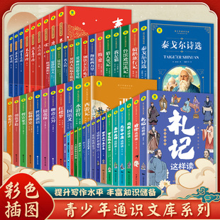 �����������x�����������ČW�����n���x����С�W����x�������l