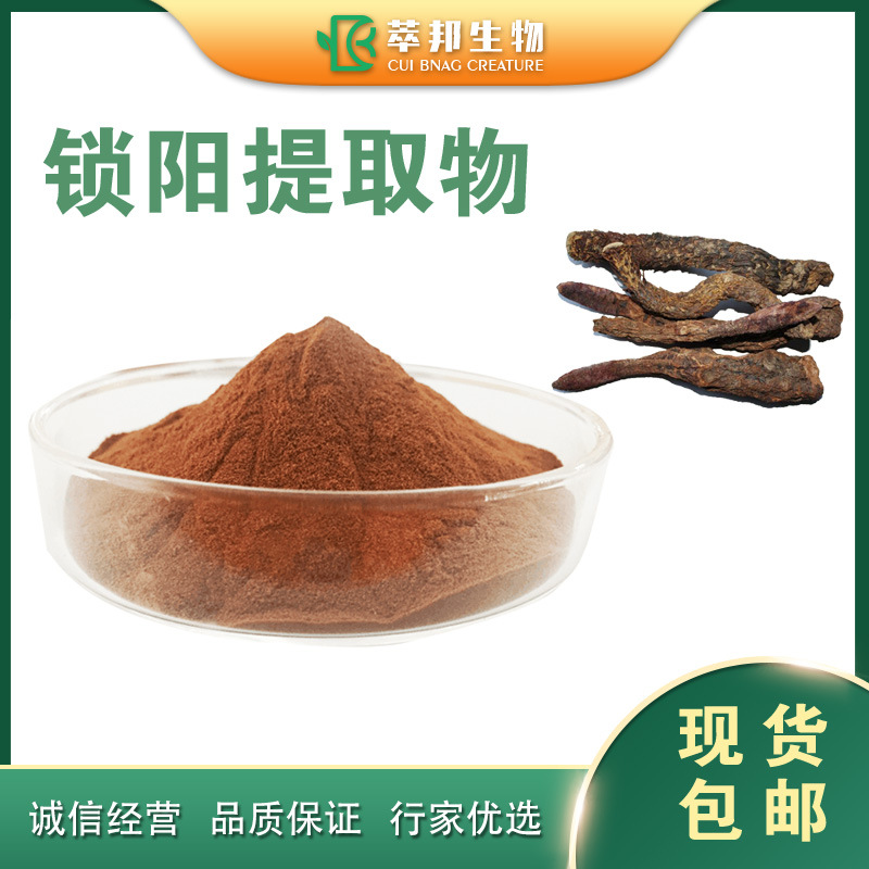 现货包邮 锁阳提取物 比例提取 规格齐全萃邦供应 锁阳生物碱