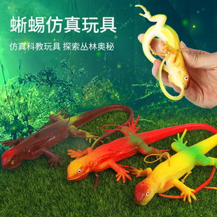 �羳TPRܛ�z�����������ģ�����_�����Є��ͯ�J֪������l