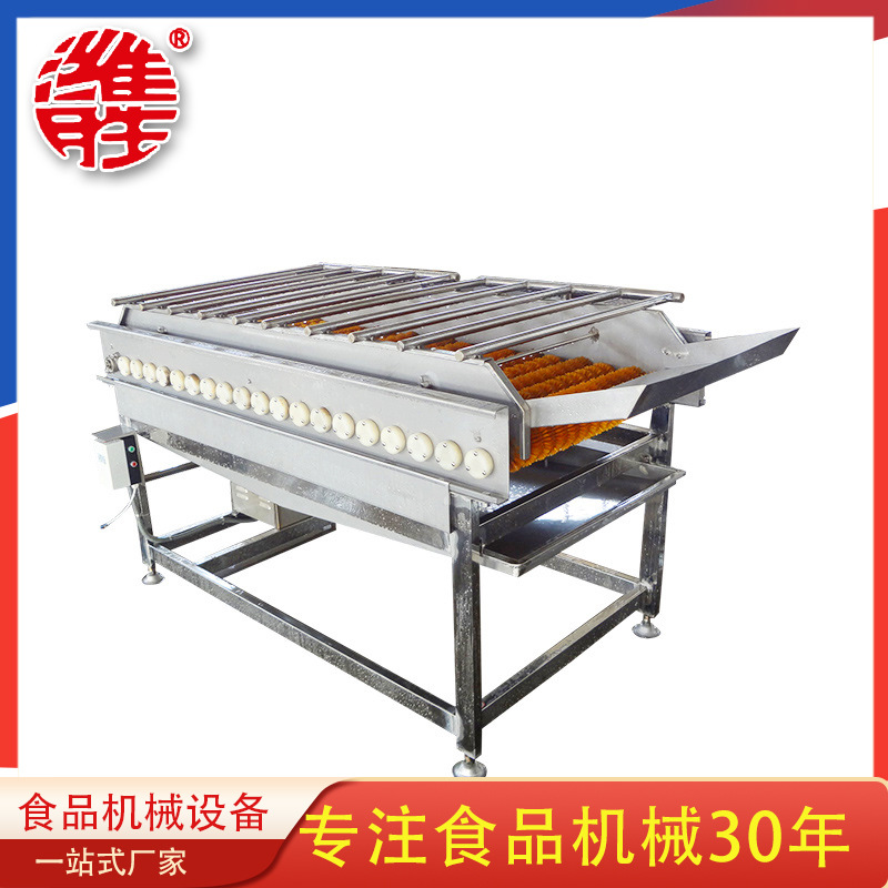 供应大型毛辊喷淋式清洗机设备 果蔬清洗机 根茎类蔬菜清洗机