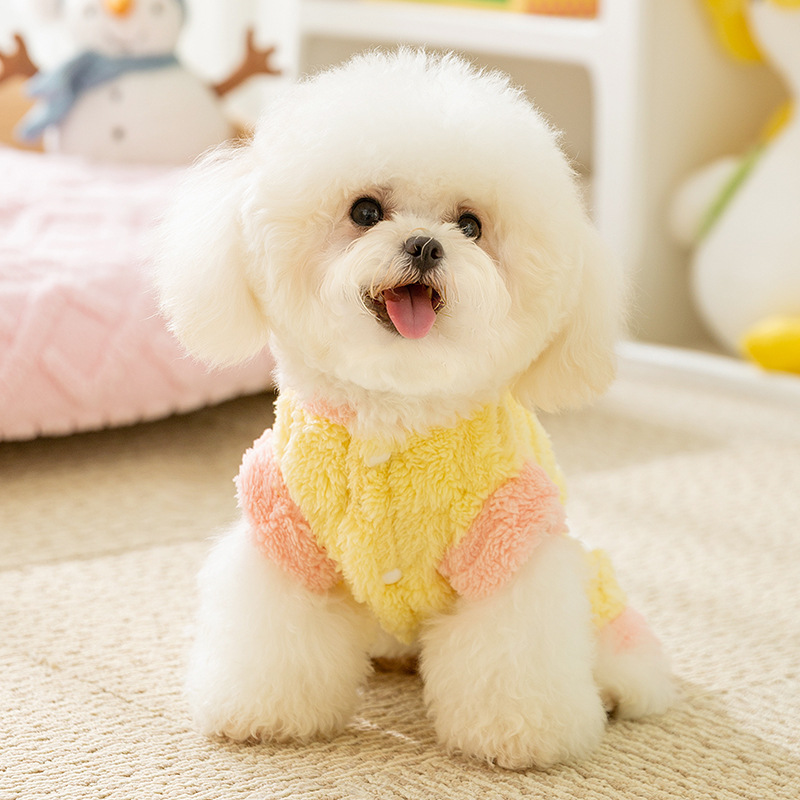 Otoño y invierno perros perros pequeños y medianos macarón letras de cuatro patas ropa de terciopelo gato calentamiento grueso ropa de mascotas