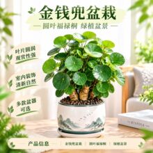 ����ͩ�A�~���X�����������҃ȿ͏d�k���ҾGֲ�X�����X���ֲ��