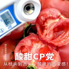 トマトギフトボックス、新鮮で本物のブニョールトマト、自然に熟した生の果物トマト