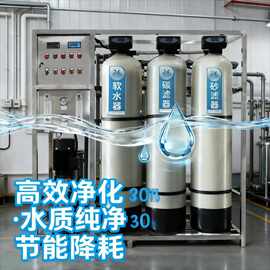工业大型反渗透水处理设备金属离子纯水设备商用大流量净水装置